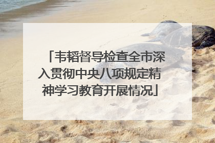 韦韬督导检查全市深入贯彻中央八项规定精神学习教育开展情况