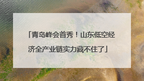 青岛峰会首秀！山东低空经济全产业链实力藏不住了