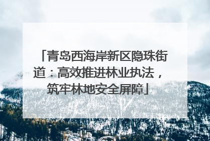 青岛西海岸新区隐珠街道：高效推进林业执法，筑牢林地安全屏障