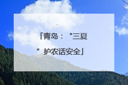 青岛：“三夏”护农话安全