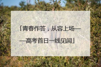 青春作答，从容上场——高考首日一线见闻