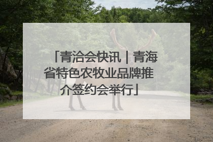 青洽会快讯｜青海省特色农牧业品牌推介签约会举行