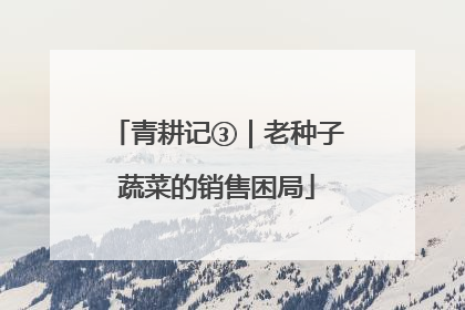 青耕记③｜老种子蔬菜的销售困局