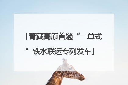 青藏高原首趟“一单式”铁水联运专列发车