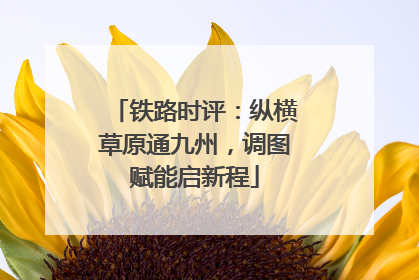 铁路时评：纵横草原通九州，调图赋能启新程