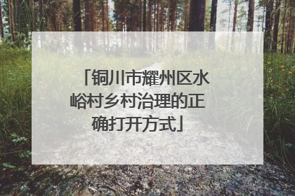铜川市耀州区水峪村乡村治理的正确打开方式