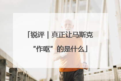 锐评｜真正让马斯克“作呕”的是什么