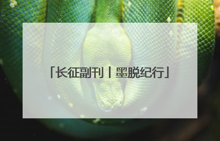 长征副刊丨墨脱纪行