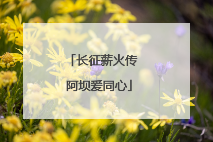长征薪火传 阿坝爱同心