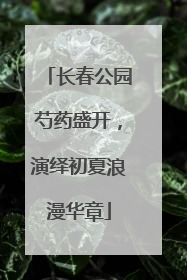长春公园芍药盛开，演绎初夏浪漫华章