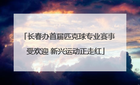 长春办首届匹克球专业赛事受欢迎 新兴运动正走红