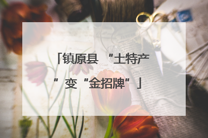 镇原县 “土特产”变“金招牌”