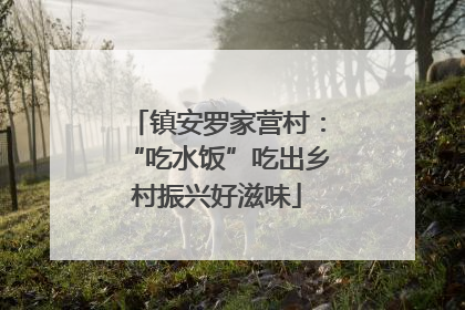 镇安罗家营村：“吃水饭”吃出乡村振兴好滋味