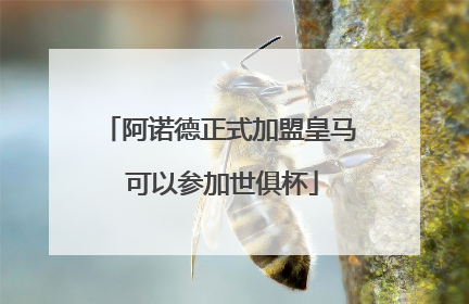 阿诺德正式加盟皇马 可以参加世俱杯
