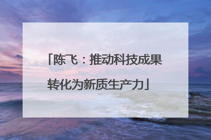 陈飞：推动科技成果转化为新质生产力