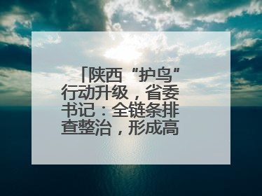 陕西“护鸟”行动升级，省委书记：全链条排查整治，形成高压震慑态势