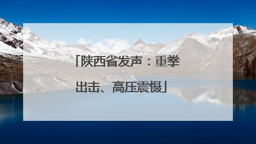 陕西省发声：重拳出击、高压震慑