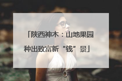陕西神木：山地果园种出致富新“钱”景