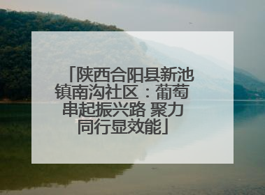 陕西合阳县新池镇南沟社区：葡萄串起振兴路 聚力同行显效能