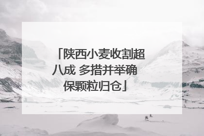 陕西小麦收割超八成 多措并举确保颗粒归仓