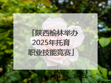 陕西榆林举办2025年托育职业技能竞赛