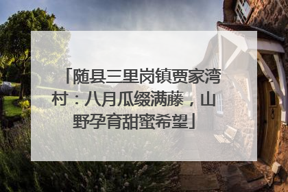 随县三里岗镇贾家湾村：八月瓜缀满藤，山野孕育甜蜜希望