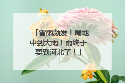 雷雨频发！局地中到大雨！雨终于要到河北了！