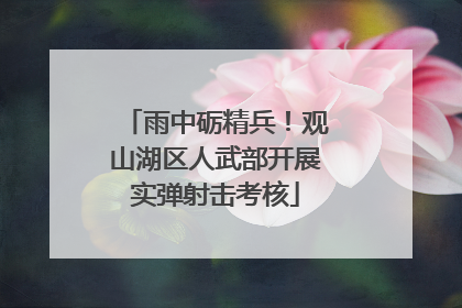 雨中砺精兵！观山湖区人武部开展实弹射击考核