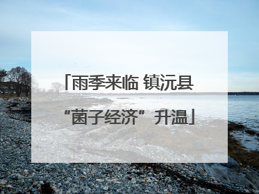雨季来临 镇沅县“菌子经济”升温