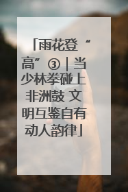 雨花登“高”③｜当少林拳碰上非洲鼓 文明互鉴自有动人韵律