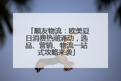 顺友物流：欧美夏日消费热潮涌动，选品、营销、物流一站式攻略来袭