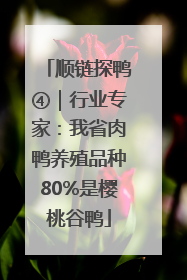顺链探鸭④｜行业专家：我省肉鸭养殖品种80%是樱桃谷鸭