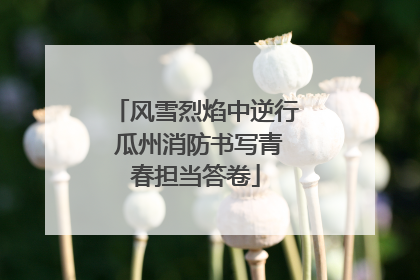 风雪烈焰中逆行 瓜州消防书写青春担当答卷