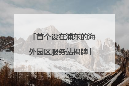 首个设在浦东的海外园区服务站揭牌