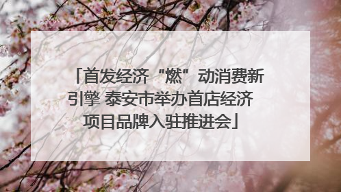 首发经济“燃”动消费新引擎 泰安市举办首店经济项目品牌入驻推进会