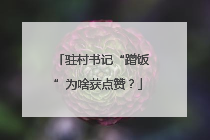 驻村书记“蹭饭”为啥获点赞？