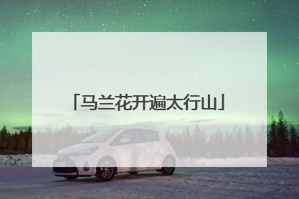 马兰花开遍太行山