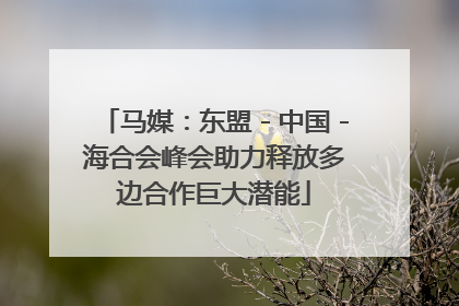 马媒：东盟－中国－海合会峰会助力释放多边合作巨大潜能