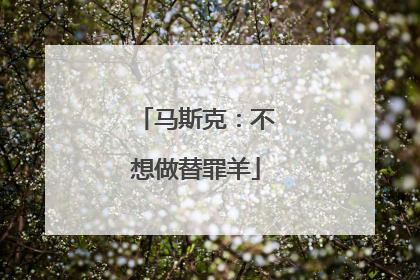 马斯克：不想做替罪羊