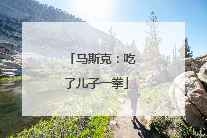 马斯克：吃了儿子一拳