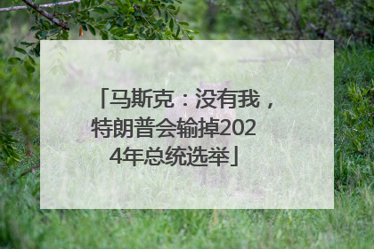 马斯克：没有我，特朗普会输掉2024年总统选举