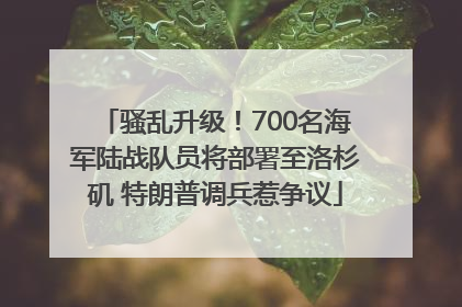 骚乱升级！700名海军陆战队员将部署至洛杉矶 特朗普调兵惹争议