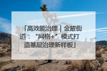 高效能治理｜金耀街道：“网格+”模式打造基层治理新样板