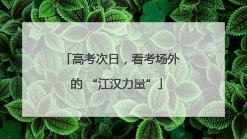 高考次日，看考场外的 “江汉力量”