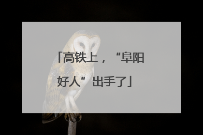 高铁上，“阜阳好人”出手了