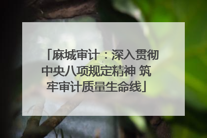 麻城审计：深入贯彻中央八项规定精神 筑牢审计质量生命线