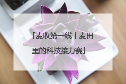 麦收第一线丨麦田里的科技接力赛