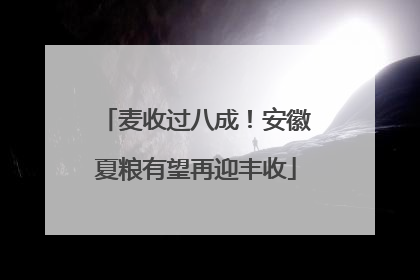 麦收过八成！安徽夏粮有望再迎丰收