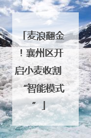 麦浪翻金！襄州区开启小麦收割“智能模式”