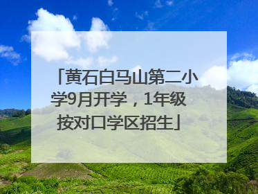 黄石白马山第二小学9月开学，1年级按对口学区招生